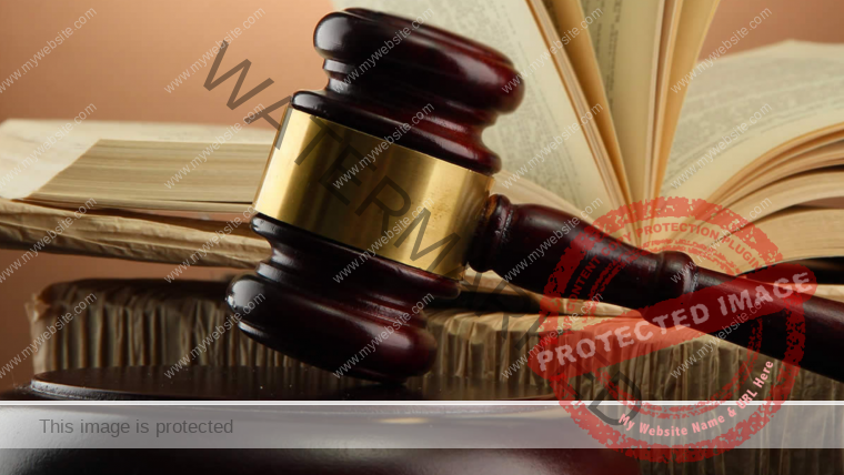 Corporate Judicial Litigation